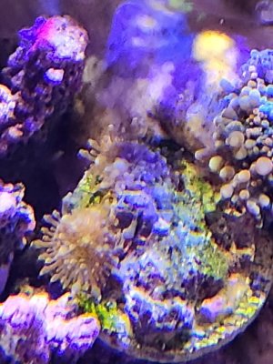 20250412_172557.jpg
