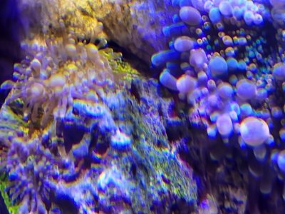 20250413_163614.jpg