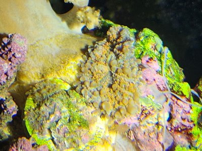 20250413_163644.jpg