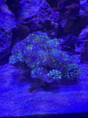 IMG_9675.jpeg