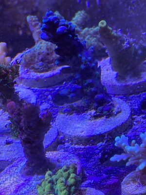 IMG_9682.jpeg