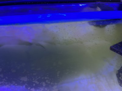 IMG_1607.jpeg