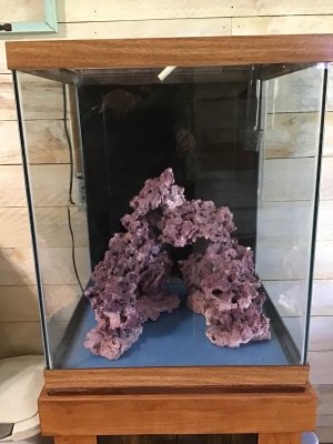 IMG_0800.jpeg