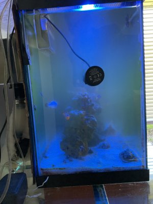 IMG_0033.jpeg