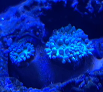 IMG_0376.jpeg