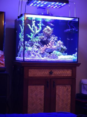 20220515_224742.jpg