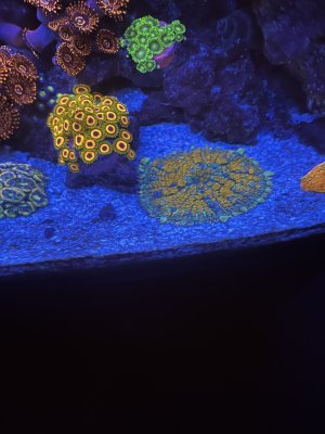 IMG_1847.jpeg