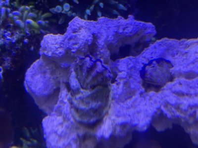 image3 (4).jpeg
