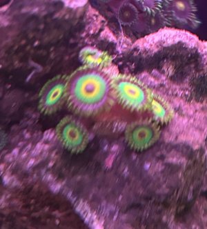 IMG_1962.jpeg