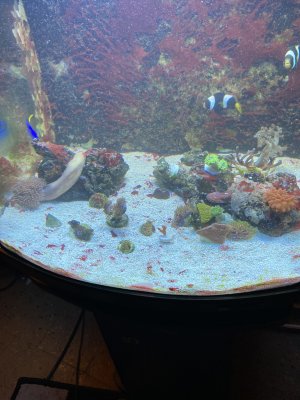 IMG_1160.jpeg
