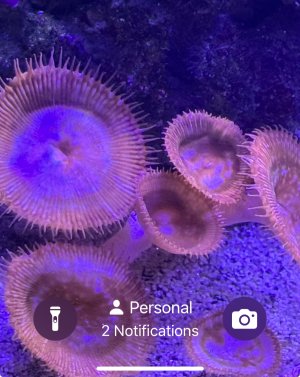 IMG_2370.jpeg