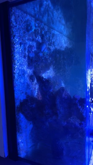 IMG_1429.jpeg