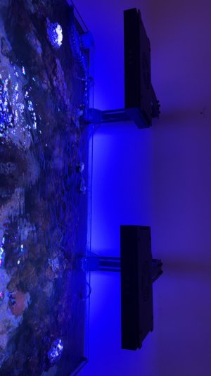IMG_1431.jpeg
