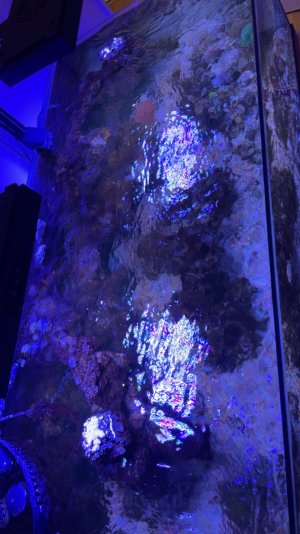 IMG_1432.jpeg