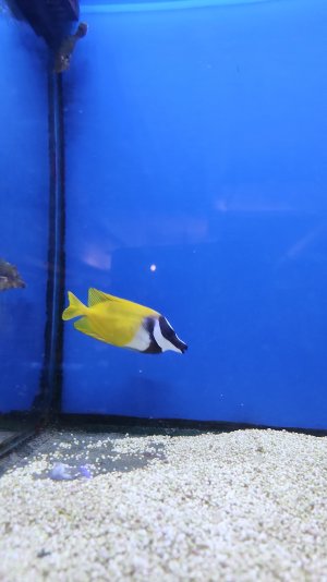IMG-20250628-WA0020.jpeg