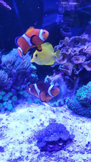 IMG-20250628-WA0036.jpeg