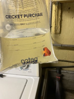 IMG_1250.jpeg