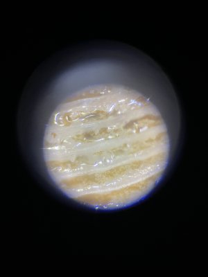 IMG_0601.jpeg