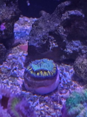 20250730_150226.jpg
