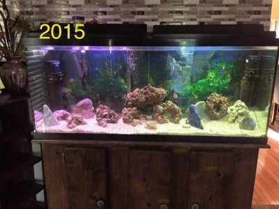 IMG_2817.jpeg