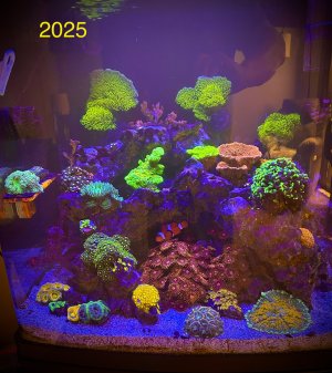 IMG_2819.jpeg