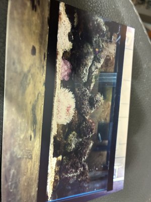 IMG_0380.jpeg