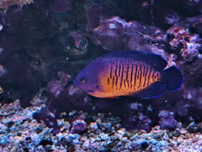 IMG20250826201235.jpg