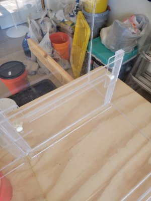 20250420_102445.jpg