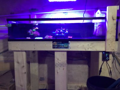 IMG_1121.jpeg