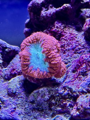 IMG_6599.jpeg