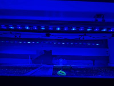 IMG_1344.jpeg