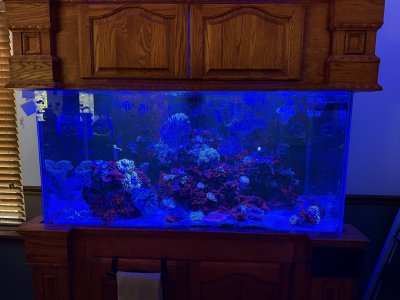 IMG_1338.jpeg