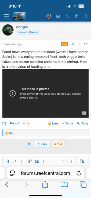 IMG_0765.png