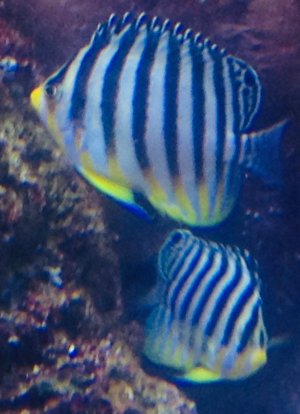 IMG_0808.jpeg