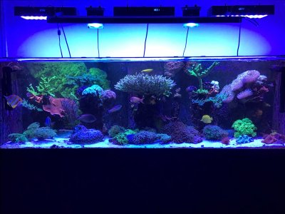 IMG_1044.jpeg