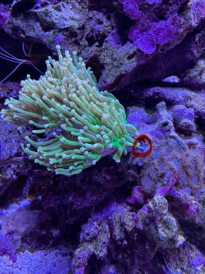 IMG_6708.jpeg