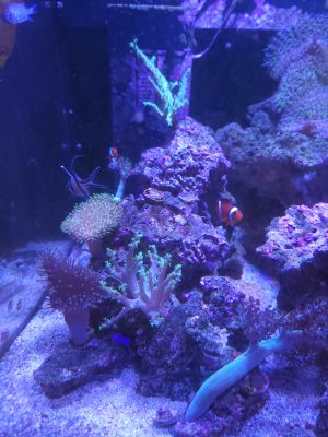 20251107_120016.jpg 20251107_120016.jpg