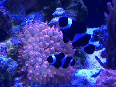 IMG_0311.jpeg IMG_0311.jpeg