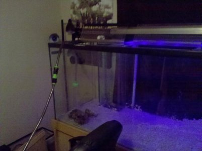 2010-06-06 06.02.40.jpg