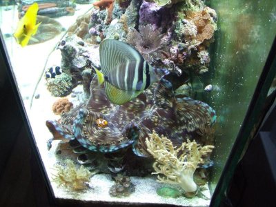 DSCF2738.jpg