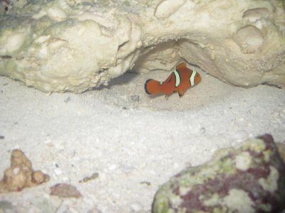 IMG_0644.jpg