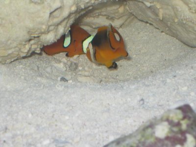 IMG_0638.jpg