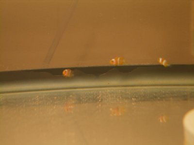 DSCN1612.jpg