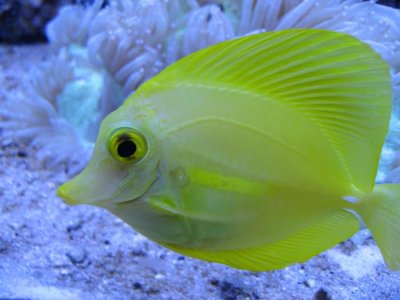 IMG_5247.jpg