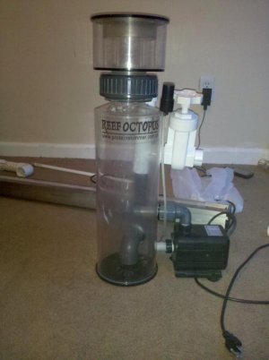 2010-06-13 17.43.33.jpg