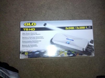 2010-06-13 17.44.08.jpg