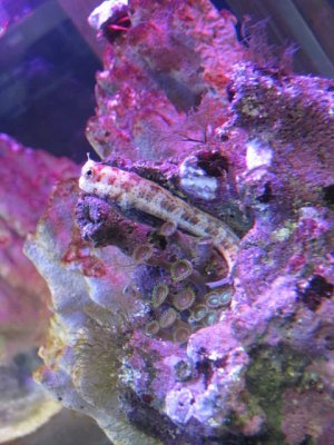 IMG_0800.jpg