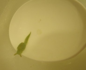 GEDC0116.JPG