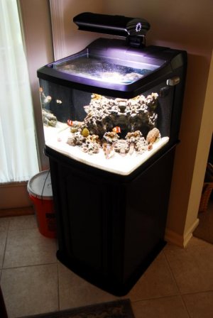 Fish Tank 270.jpg