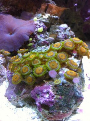 IMG_0099.jpg